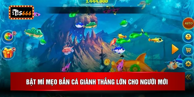 Bật mí mẹo bắn cá giành thắng lớn cho người mới
