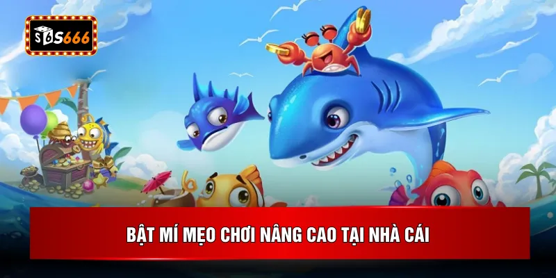 Bật mí mẹo chơi nâng cao tại nhà cái