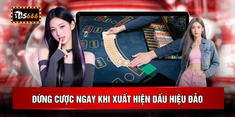 Dừng cược ngay khi xuất hiện dấu hiệu đảo
