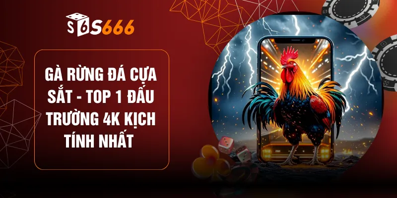 Gà Rừng Đá Cựa Sắt - Top 1 Đấu Trường 4K Kịch Tính Nhất