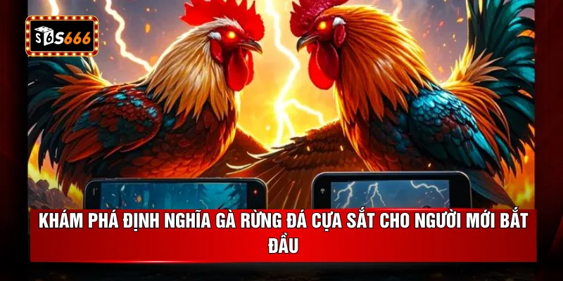 Khám phá định nghĩa gà rừng đá cựa sắt cho người mới bắt đầu