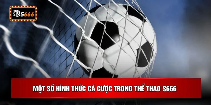 Một số hình thức cá cược trong thể thao S666